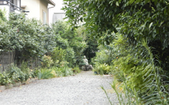 �Ő� ���T����