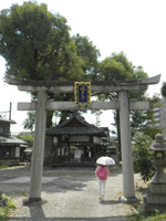 ���c�F�_��