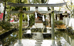 �ΐ� ���_��