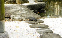 �ΐ� ���_��