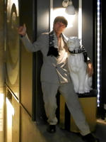 �}�n���W���̔��^